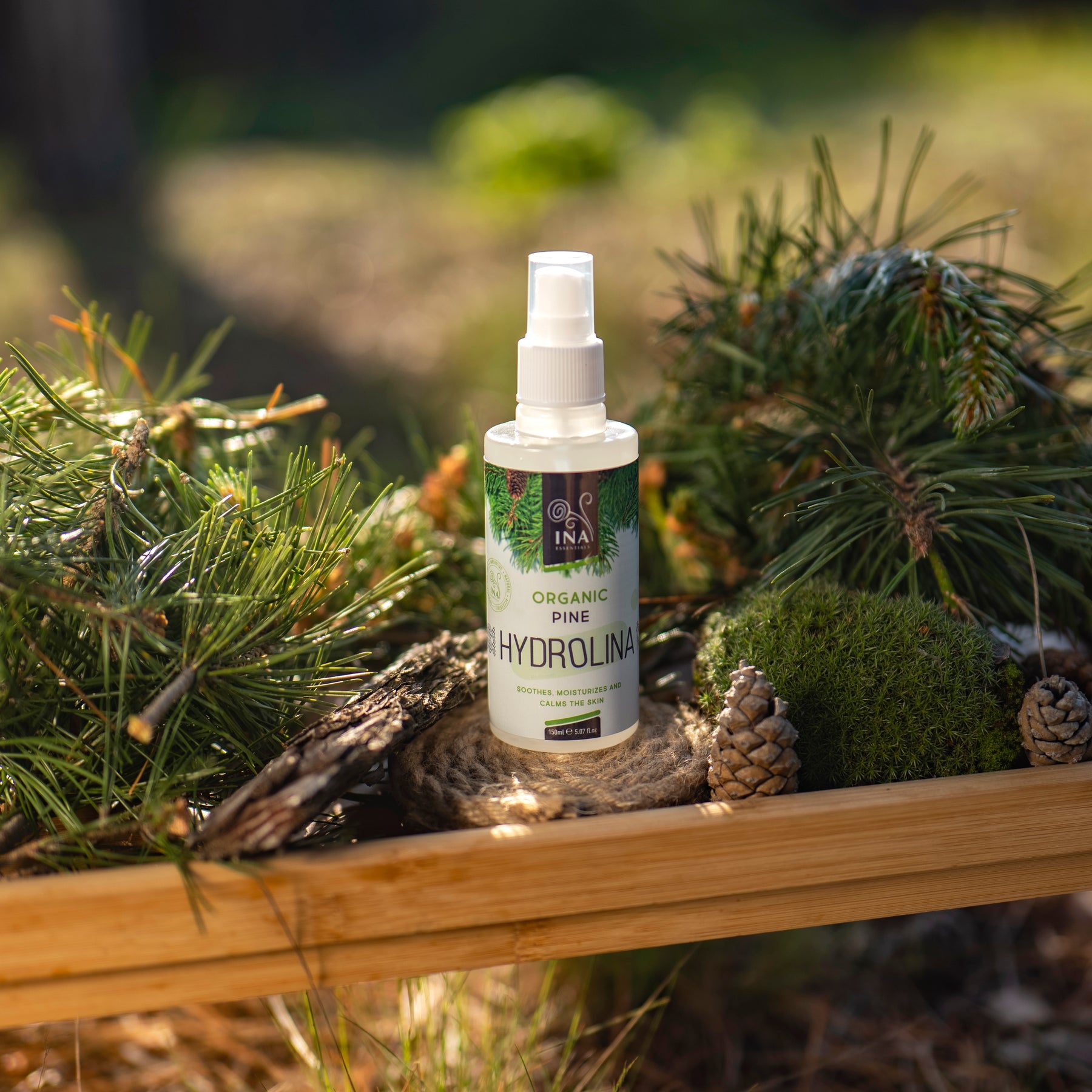 EKO Hidrolat divjega bora - Hydrolina - PROTI GLIVICAM - 150 ml (Pršilo)