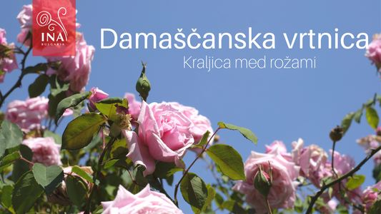 Razlog, zakaj si želite Tekoče ZLATO v izdelkih za nego kože in las – Kraljica med rožami InaEssentials