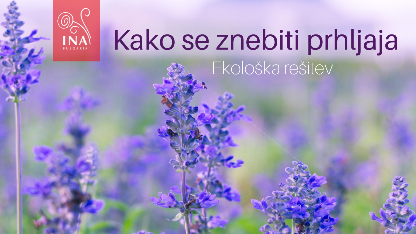 InaEssentials-Hidrolat-Žajbelj-prhljaj-seboreja