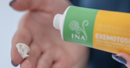 Ekcem na rokah – naravna nega z InaEssentials